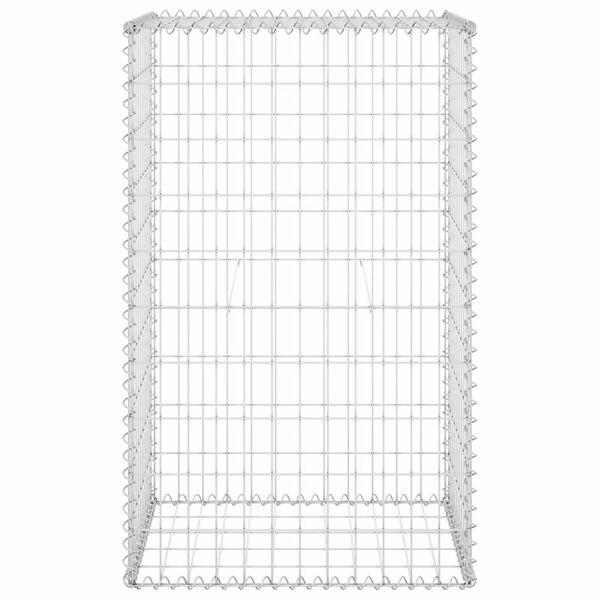 vidaXL Συρματοκιβώτιο Τοίχος 60x50x100 εκ. Γαλβαν. Χάλυβας + Καλύμματα