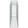 vidaXL Συρματοκιβώτια Τοξωτά 9 τεμ. 200x30x80/100 εκ. Γαλβαν. Ατσάλι