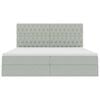 vidaXL Κρεβάτι με αποθηκευτικό χώρο και LED Ανοιχτό γκρι 200 x 200 cm