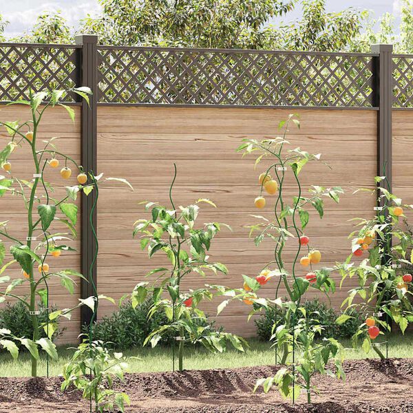 &Pi;&rho;&omicron;&beta;&omicron;&lambda;ή &Phi;&omega;&tau;&omicron;&gamma;&rho;&alpha;&phi;ί&alpha;&sigmaf; &Pi;&rho;&omicron;ϊό&nu;&tau;&omicron;&sigmaf; 2 &alpha;&pi;ό 11