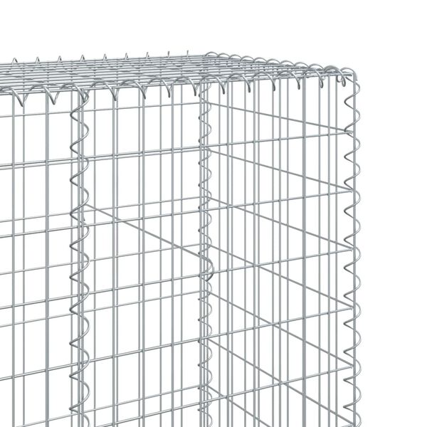 vidaXL Συρματοκιβώτιο με Κάλυμμα 1200x50x200εκ από Γαλβανισμένο Χάλυβα