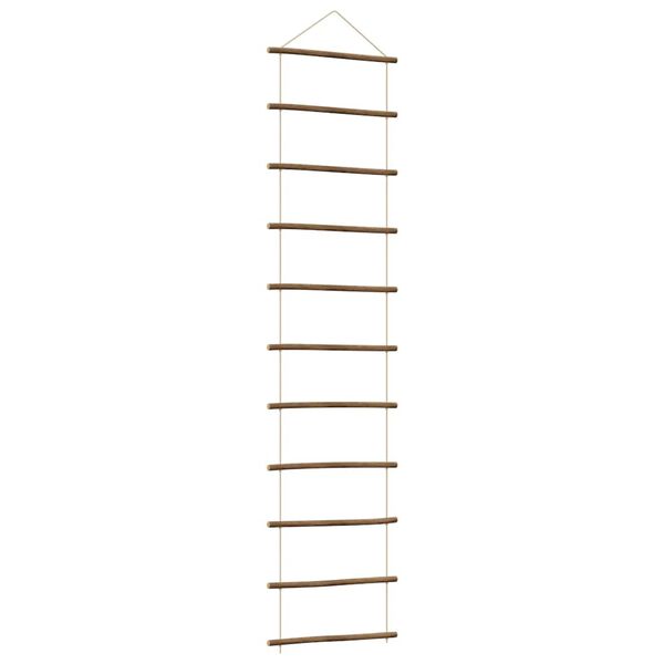 vidaXL Διακόσμηση τοίχου σε σχήμα σκάλας 50x200 cm Φυσικό κλαδί