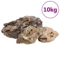 vidaXL Πέτρες Dragon Stones Γκρι 10 κιλά 10-40 εκ.