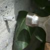 Nature Σετ Στήριξης για Αναρριχώμενα Φυτά 2 τεμ. Συρμάτινο