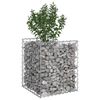 vidaXL &Alpha;&nu;&alpha;&sigma;&eta;&kappa;&omega;&mu;έ&nu;&omicron; &kappa;&rho;&epsilon;&beta;ά&tau;&iota; gabion &Alpha;&sigma;&eta;&mu;ί 50 x 50 x 60 cm