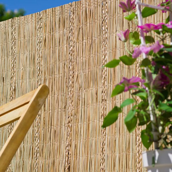 Nature &Kappa;&alpha;&lambda;&alpha;&mu;&omega;&tau;ή &Pi;&epsilon;&rho;ί&phi;&rho;&alpha;&xi;&eta;&sigmaf; 3 x 1,2 &mu;. &alpha;&pi;ό &Kappa;ύ&pi;&epsilon;&rho;&eta;