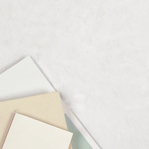 vidaXL Χαλιά Ψεύτικου Κουνελιού Olite Λευκό 50 x 80 cm Πολυεστέρας