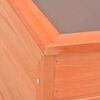 vidaXL Θερμοκήπιο 100x50x34 εκ. Ξύλινο