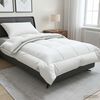 Thumbnail &Pi;&rho;&omicron;ϊό&nu;&tau;&omicron;&sigmaf; 2 &alpha;&pi;ό 12