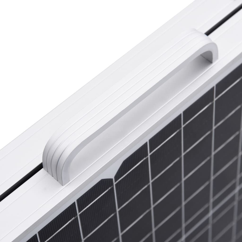 vidaXL Ηλιακή Βαλίτσα με Φωτοβολταϊκά Πάνελ 120 W 12 V