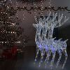 vidaXL Χριστουγ. Τάρανδοι 3 τεμ. 250 LED Πολύχρωμοι 180 εκ. Ακρυλικό