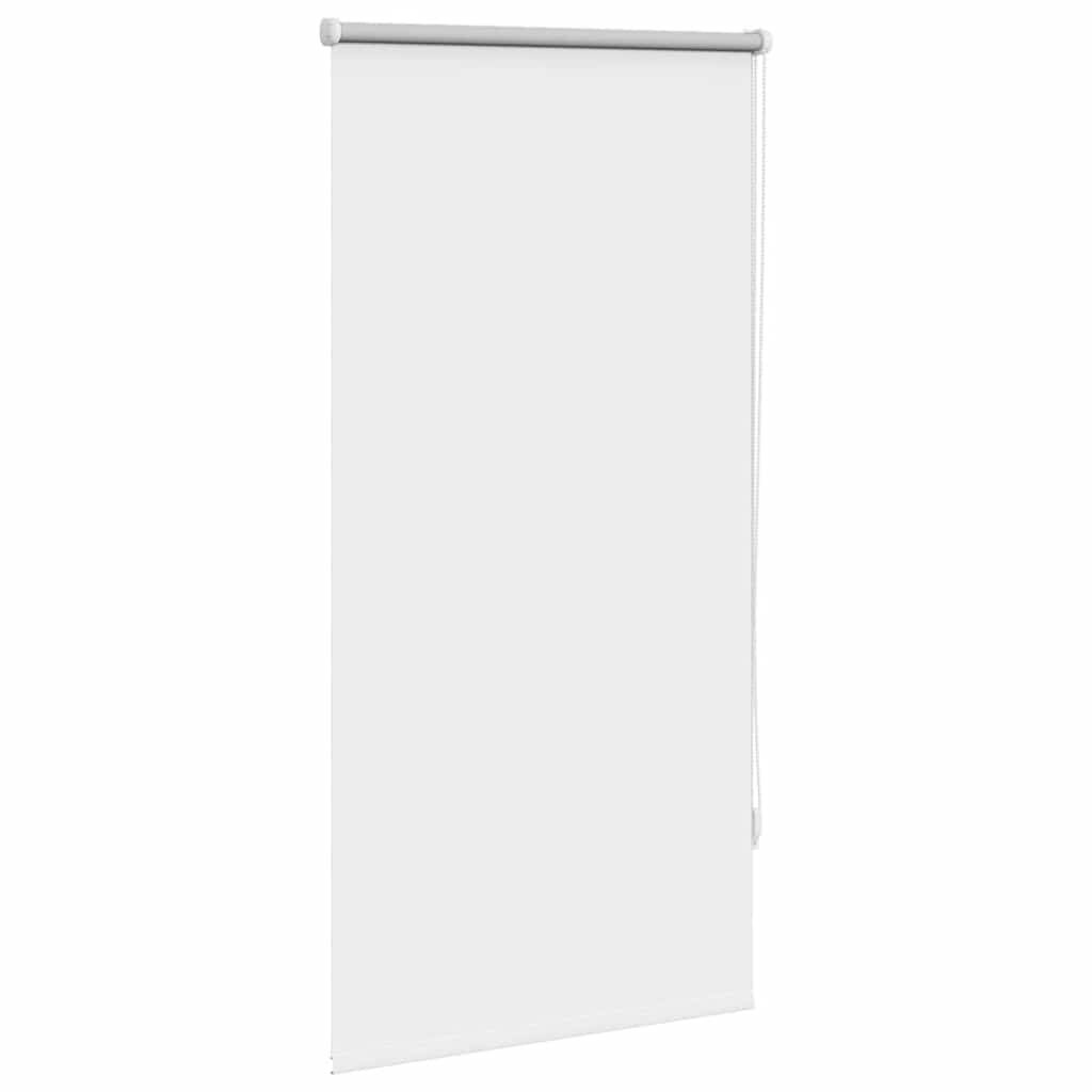 Στόρι Συσκότισης Ρόλερ Λευκό 60 x 120 εκ.