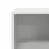 vidaXL Τραπεζάκι Σαλονιού Λευκό 101,5x50x43,5 εκ. Χάλυβα Ψυχρής Έλασης