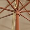 vidaXL Ομπρέλα Κήπου με Ξύλινο Ιστό Taupe 400 x 273 εκ.