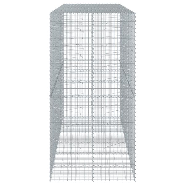 vidaXL Συρματοκιβώτιο με Κάλυμμα 300x100x200εκ από Γαλβανισμένο Χάλυβα