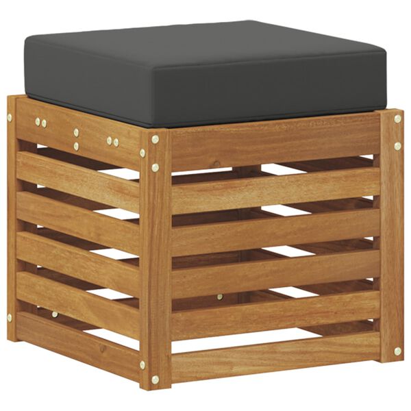 vidaXL &Pi;ά&gamma;&kappa;&omicron;&sigmaf; 2 &Tau;&epsilon;&mu;ά&chi;&iota;&omicron; &Phi;&upsilon;&sigma;&iota;&kappa;ό &kappa;&alpha;&iota; &Alpha;&nu;&theta;&rho;&alpha;&kappa;ί &Sigma;&tau;&epsilon;&rho;&epsilon;ό &Xi;ύ&lambda;&omicron; &Alpha;&kappa;&alpha;&kappa;ί&alpha;&sigmaf;