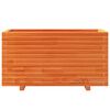 vidaXL Ζαρντινιέρα Καφέ Κεριού 90x40x49,5 εκ. από Μασίφ Ξύλο Πεύκου
