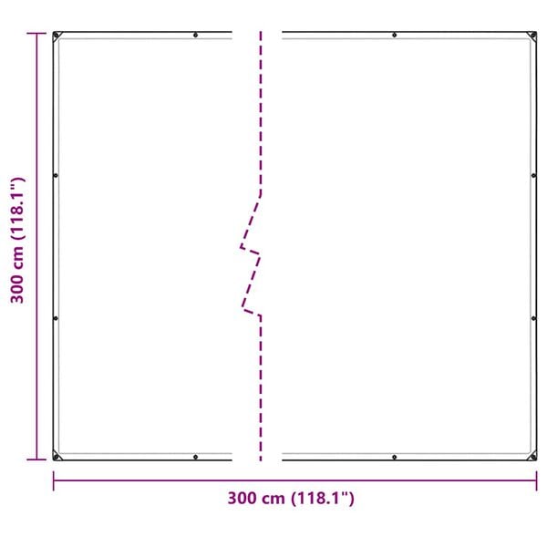 vidaXL Σαφής μουσαμάς με τις οπές 3x3 m PVC