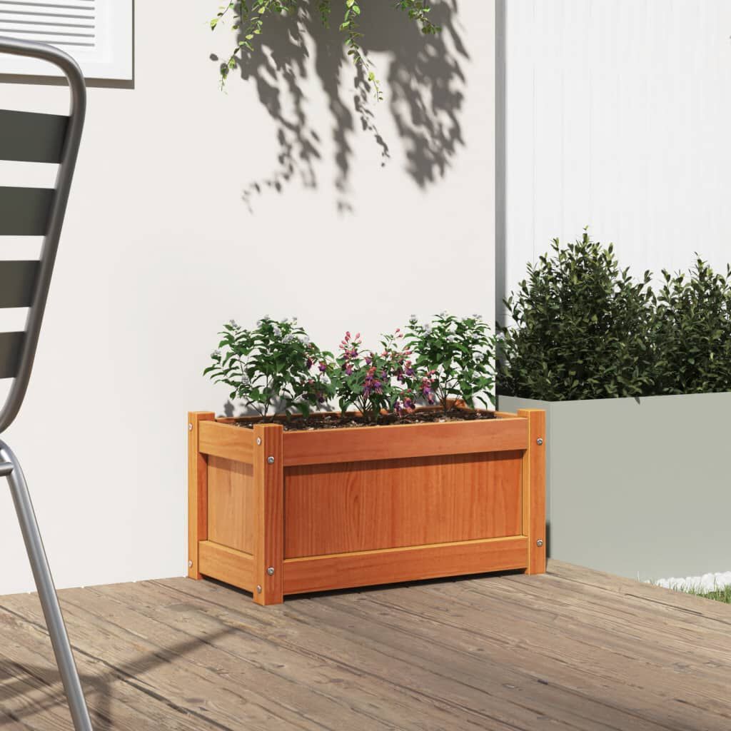 vidaXL Ζαρντινιέρα Καφέ Κεριού 60 x 31 x 31 εκ. από Μασίφ Ξύλο Πεύκου