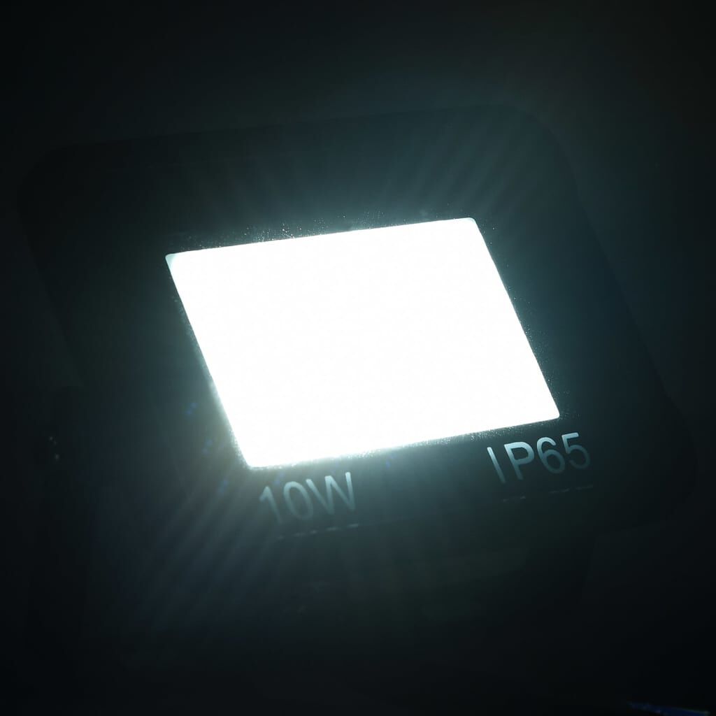 vidaXL Προβολείς LED 2 τεμ. Ψυχρό Λευκό 10 W