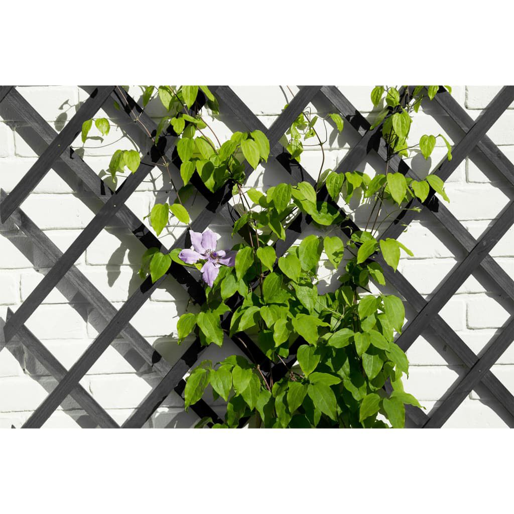 Nature Καφασωτό Κήπου Ανθρακί 50 x 150 εκ. Ξύλινο