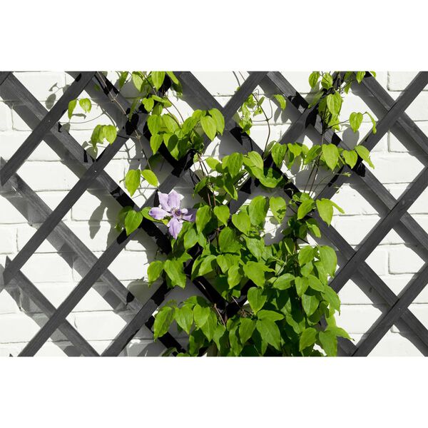 Nature Καφασωτό Κήπου Ανθρακί 50 x 150 εκ. Ξύλινο