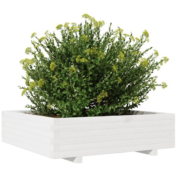 vidaXL Ζαρντινιέρα Λευκή 90x90x26,5 εκ. από Μασίφ Ξύλο Πεύκου