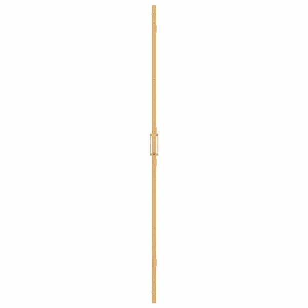 vidaXL Τοίχος ντους Walk-in Άλλο Χρυσό και διαφανές 80 x 190 cm