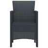 vidaXL Καρέκλα Κήπου 2 pcs Ανθρακί 53 x 49 x 85 εκ. PP
