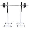 vidaXL Ορθοστάτης Μπάρας/Squat Rack με Σετ Μπάρα και Αλτήρες 60,5 κ.
