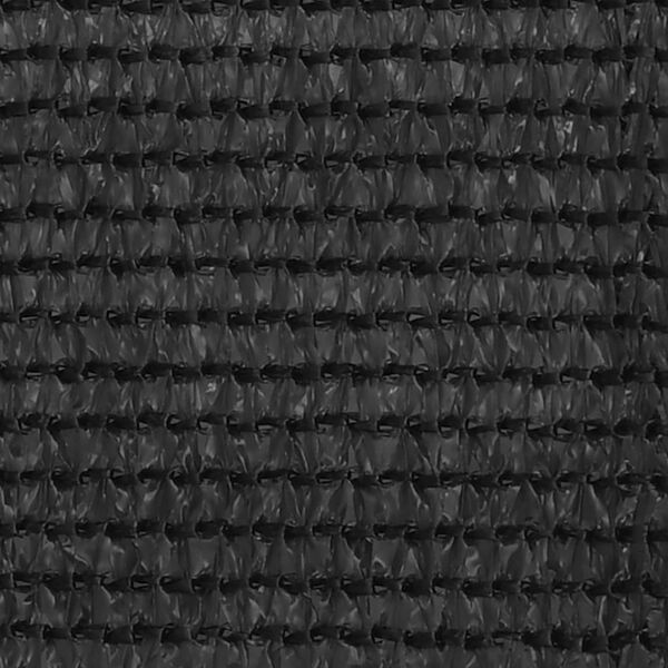 vidaXL Διαχωριστικό Βεράντας Ανθρακί 120 x 400 εκ. από HDPE