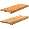 vidaXL &Pi;&alpha;&tau;ά&kappa;&iota;&alpha; &Sigma;&kappa;ά&lambda;&alpha;&sigmaf; 2 &tau;&epsilon;&mu;. &Alpha;&nu;&omicron;&iota;&chi;&tau;ό &Kappa;&alpha;&phi;έ 70x25x2 cm &Xi;ύ&lambda;&omicron; &Delta;&rho;&upsilon;ό&sigmaf;