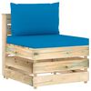 Light_blue_and_brown
