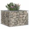 vidaXL &Alpha;&nu;&alpha;&sigma;&eta;&kappa;&omega;&mu;έ&nu;&omicron; &kappa;&rho;&epsilon;&beta;ά&tau;&iota; gabion &Alpha;&sigma;&eta;&mu;ί 60 x 60 x 40 cm