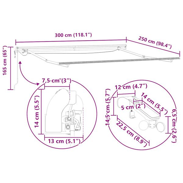 vidaXL Τέντα Πτυσσόμενη Αυτόματη με LED Ανθρακί / Λευκή 300 x 250 εκ.
