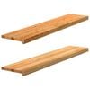 vidaXL &Pi;&alpha;&tau;ά&kappa;&iota;&alpha; &Sigma;&kappa;ά&lambda;&alpha;&sigmaf; 2 &tau;&epsilon;&mu;. &Alpha;&nu;&omicron;&iota;&chi;&tau;ό &Kappa;&alpha;&phi;έ 120x30x2 cm &Xi;ύ&lambda;&omicron; &Delta;&rho;&upsilon;ό&sigmaf;