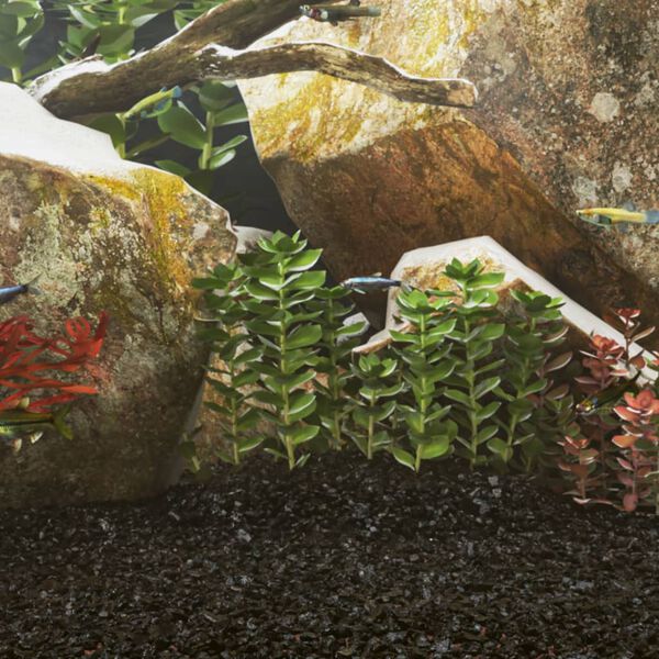 &Pi;&rho;&omicron;&beta;&omicron;&lambda;ή &Phi;&omega;&tau;&omicron;&gamma;&rho;&alpha;&phi;ί&alpha;&sigmaf; &Pi;&rho;&omicron;ϊό&nu;&tau;&omicron;&sigmaf; 2 &alpha;&pi;ό 5