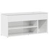 High_gloss_white