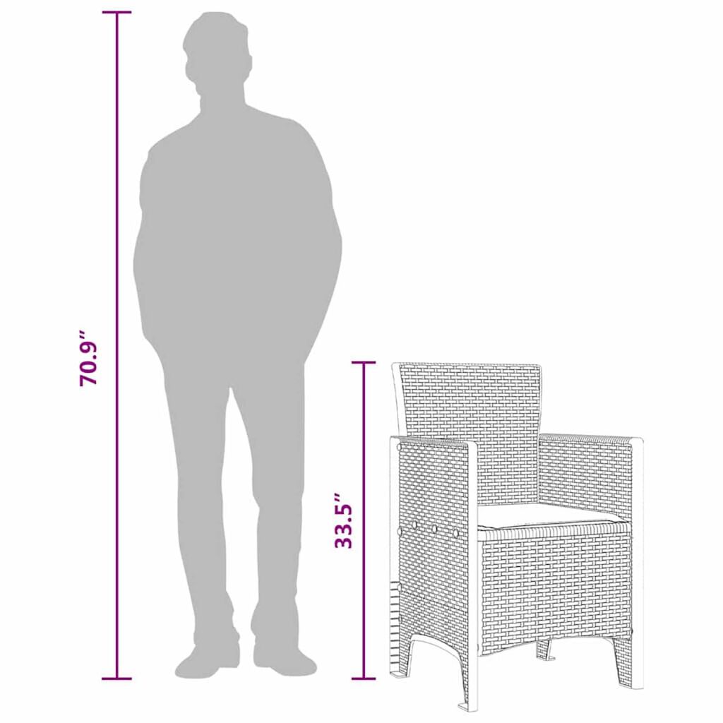 vidaXL Καρέκλα Κήπου 2 pcs Ανθρακί 53 x 49 x 85 εκ. PP