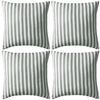 Grey_stripe