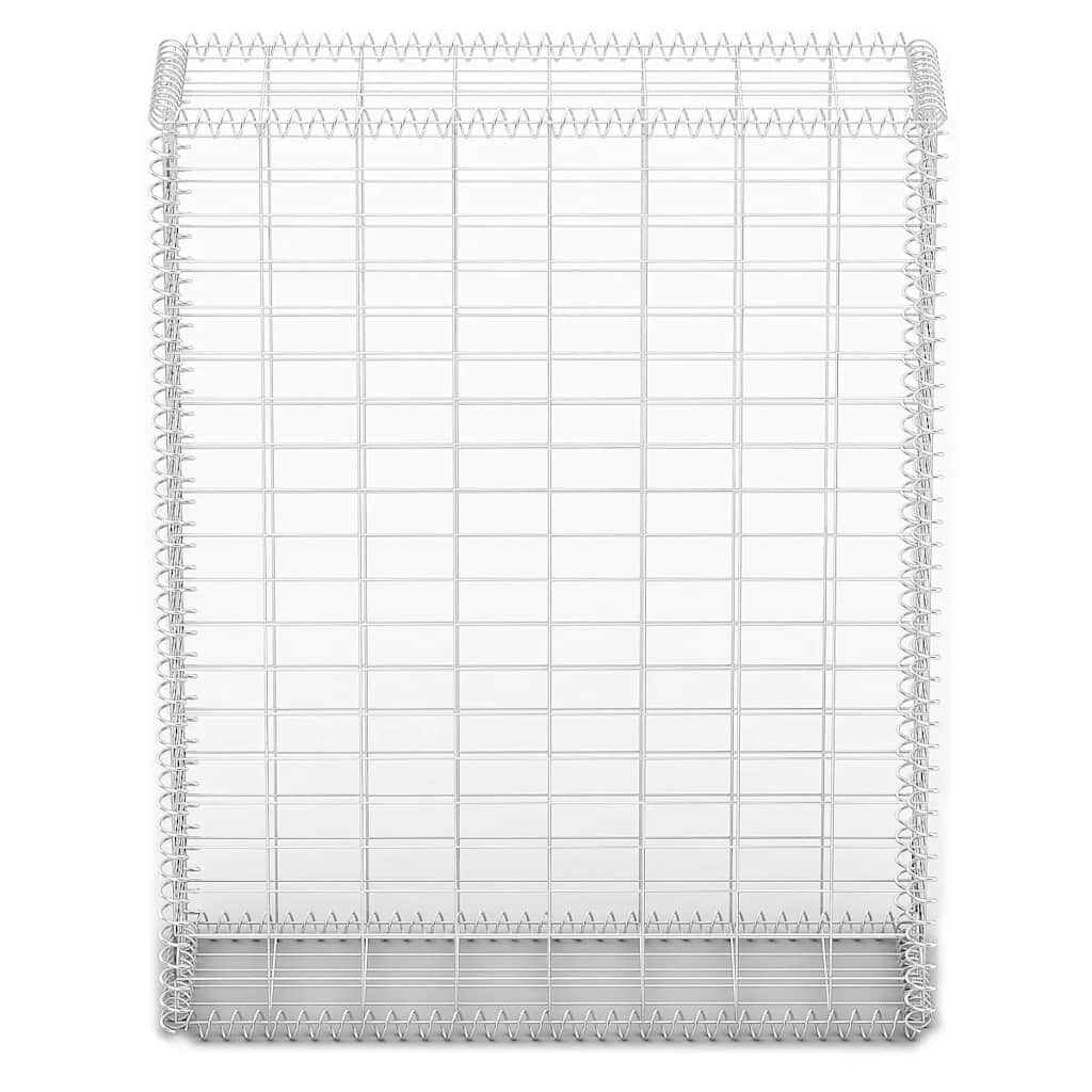 vidaXL Συρματοκιβώτιο 100 x 80 x 30 εκ. Γαλβανισμένο Σύρμα με Καπάκια
