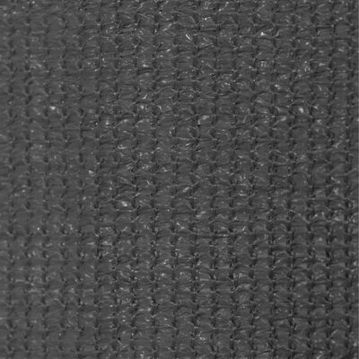 vidaXL Στόρι Σκίασης Ρόλερ Εξωτερικού Χώρου Ανθρακί 60 x 230 εκ.