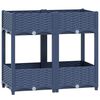 Blue_grey