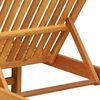 vidaXL Ξαπλώστρα 2 pcs Καφέ 63 x 199 x 85 εκ. Μασίφ ξύλο ακακίας