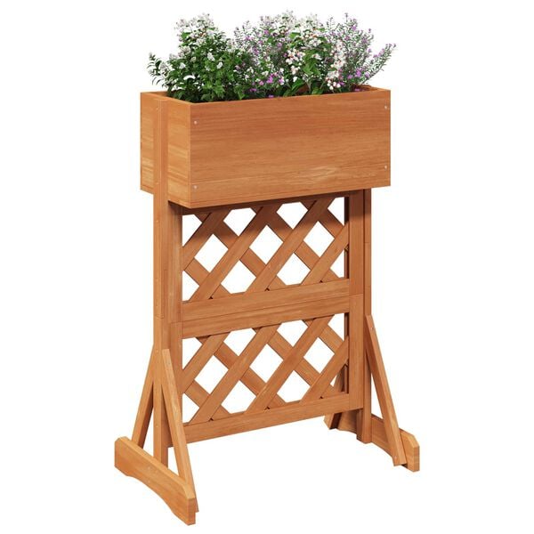 &Pi;&rho;&omicron;&beta;&omicron;&lambda;ή &Phi;&omega;&tau;&omicron;&gamma;&rho;&alpha;&phi;ί&alpha;&sigmaf; &Pi;&rho;&omicron;ϊό&nu;&tau;&omicron;&sigmaf; 3 &alpha;&pi;ό 10