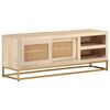 vidaXL Έπιπλο Τηλεόρασης 110 x 30 x 40 εκ. Μασίφ Ξύλο Μάνγκο & Σίδηρος