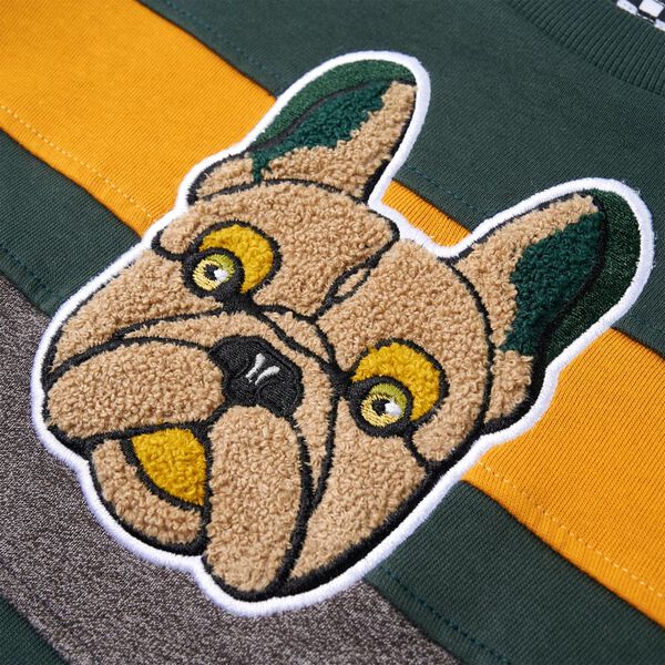 &Phi;&omicron;ύ&tau;&epsilon;&rho; &Pi;&alpha;&iota;&delta;&iota;&kappa;ό &Sigma;&kappa;&omicron;ύ&rho;&omicron; &Pi;&rho;ά&sigma;&iota;&nu;&omicron; 104