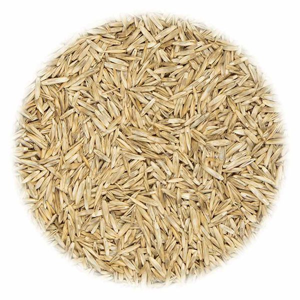 vidaXL Σπόροι Γκαζόν για Αθλητισμό και Παιχνίδι 30 κ.