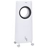 vidaXL Air Cooler Φορητό 2 σε 1 80 W