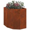 vidaXL &Gamma;&omega;&nu;&iota;&alpha;&kappa;ό &Rho;&omicron;&delta;ό&delta;&epsilon;&nu;&tau;&rho;&omicron; &Sigma;&kappa; rusty 45 x 45 x 50 &epsilon;&kappa;